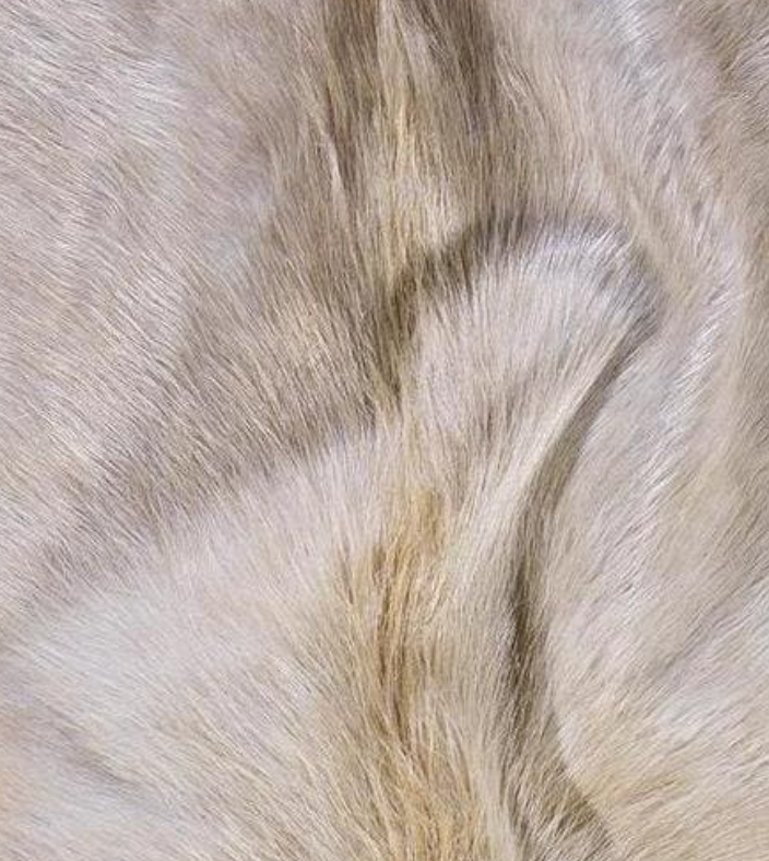 XL Beige Hide