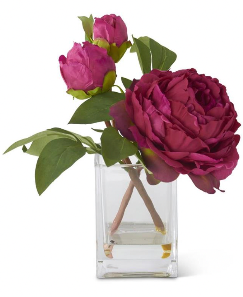 Peony in Glass Vase