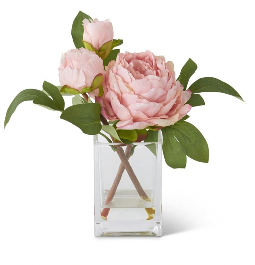 Peony in Glass Vase