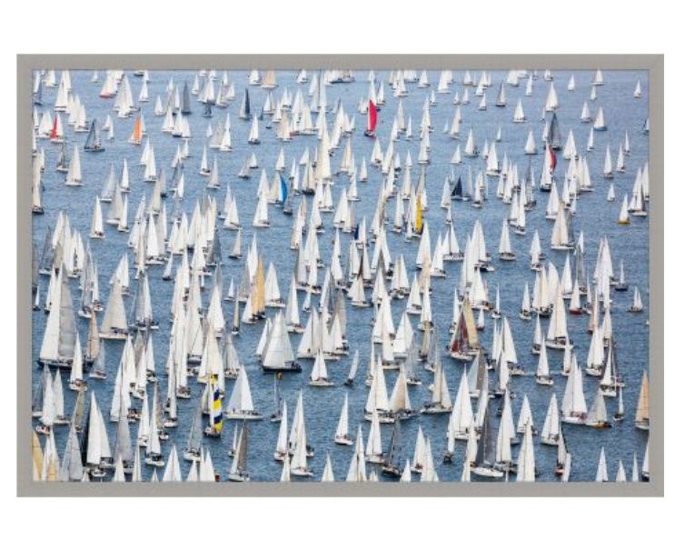 Annual Regatta