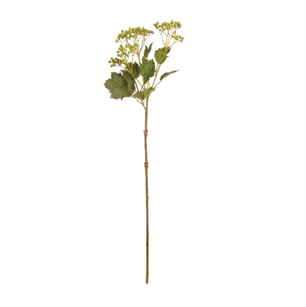 Viburnum Berry Branch