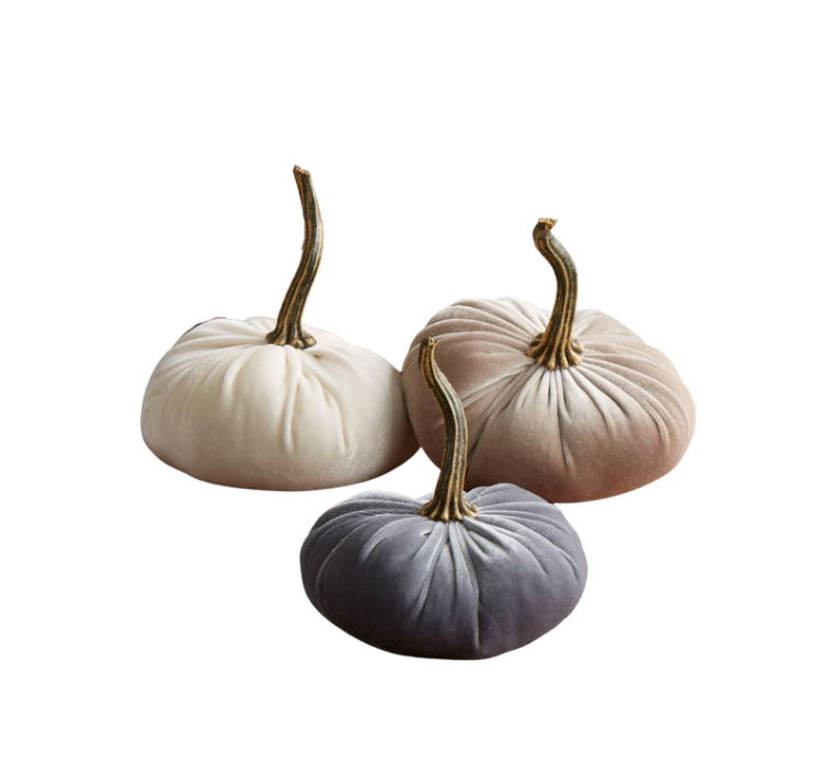 Velvet Pumpkin - Extra Large