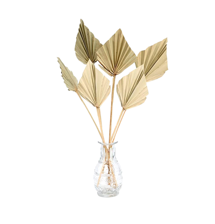 Bleached Spear Palm Bundle