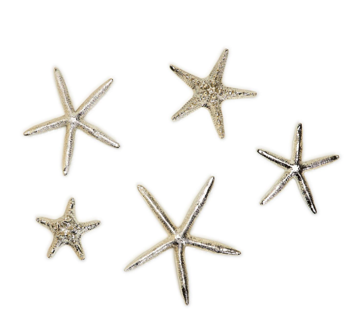 Silver Starfish
