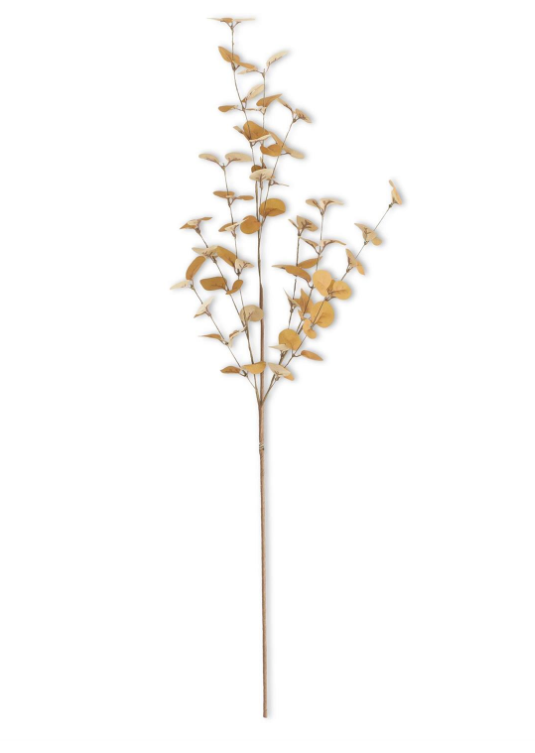 34" Eucalyptus Stem