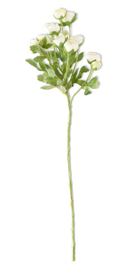 White Ranunculus Spray