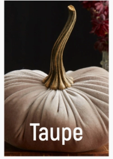 Velvet Pumpkin - Large