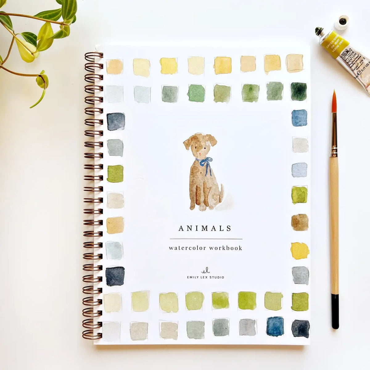 Animals Watercolor Workbook