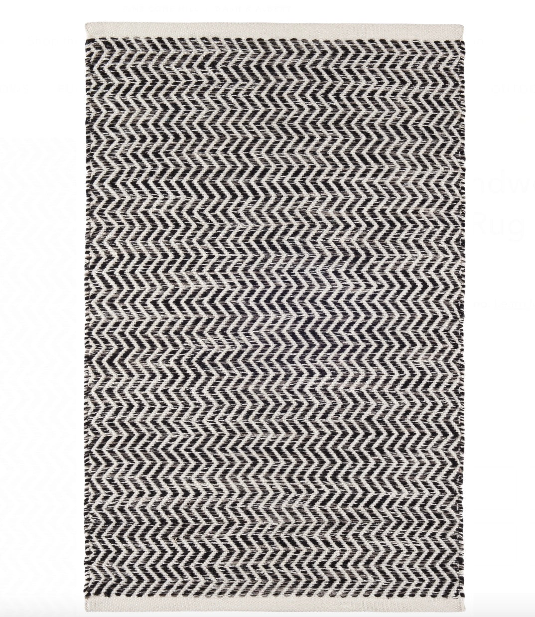 Coastal Black In/Out Rug 2x3