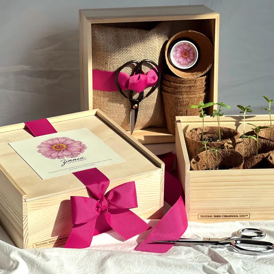 Flower Cutting Garden Box