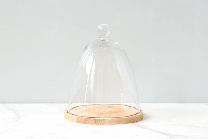 Glass Dome with Wood Base