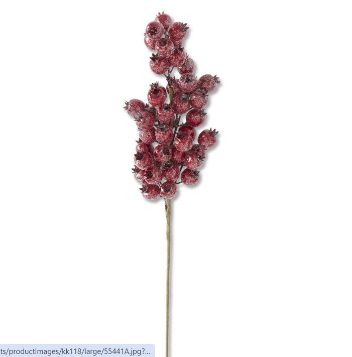 24" Glittered Red Rosehip Stem