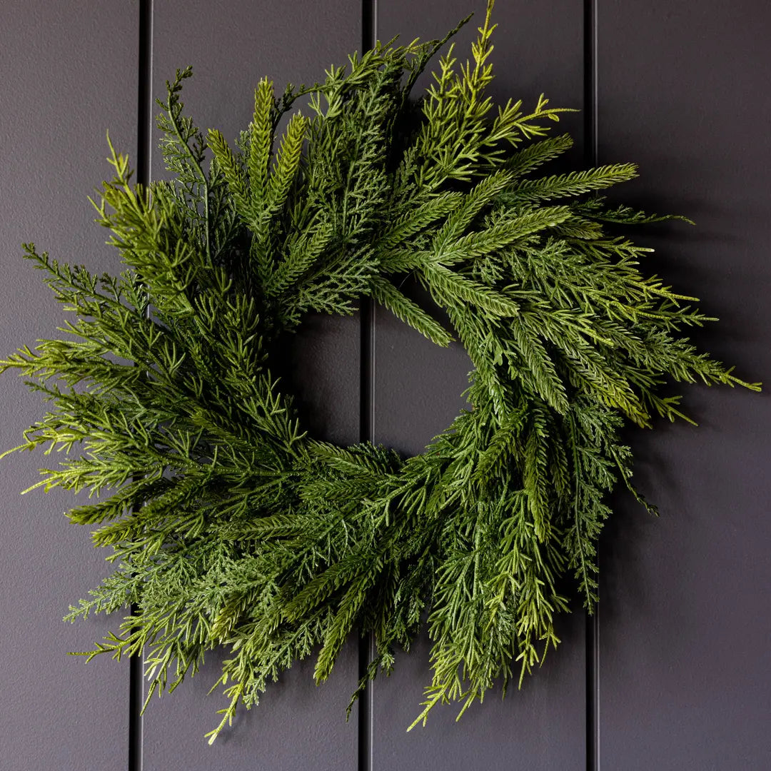 Norfolk & Cypress Mini Wreath