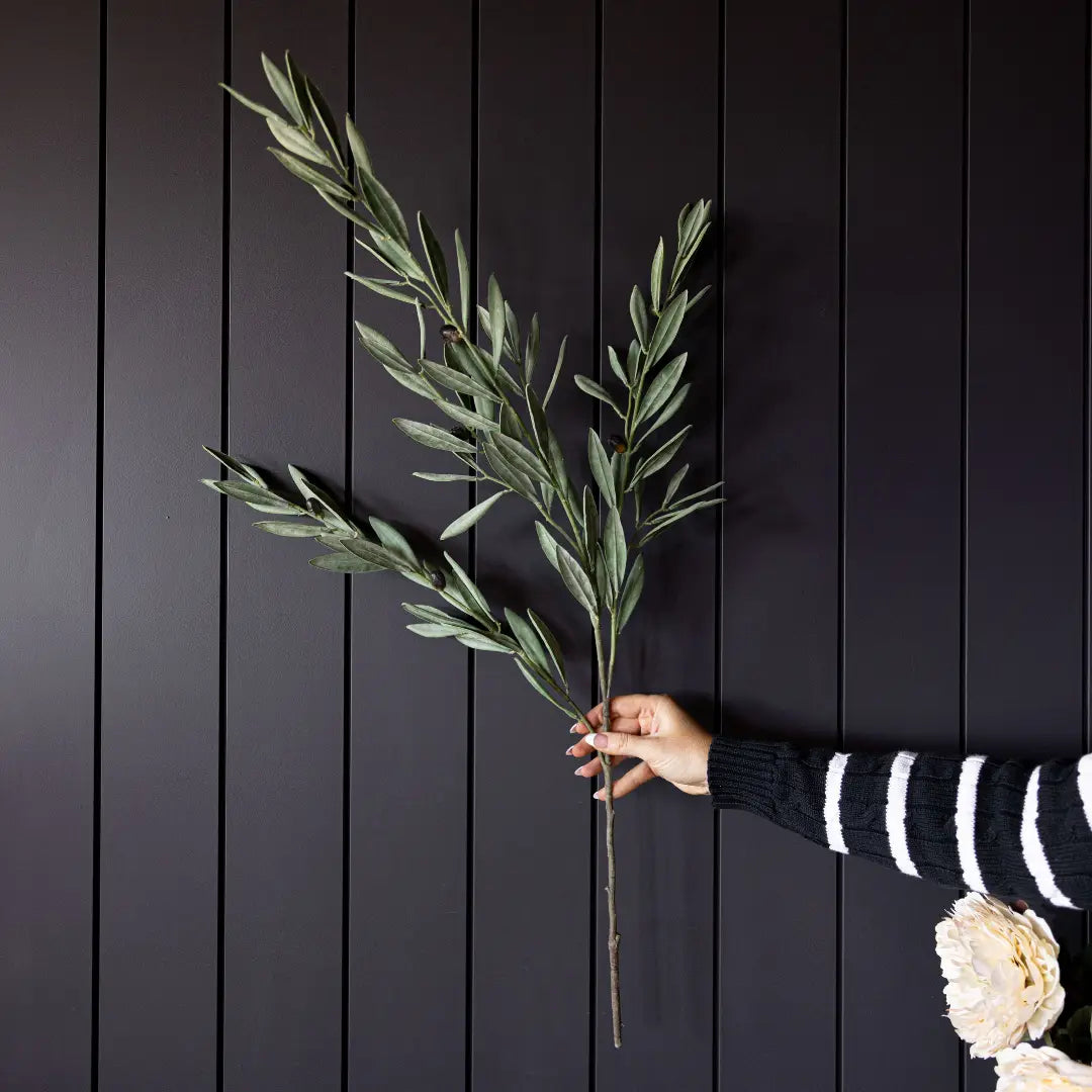 Olive Branch Stem