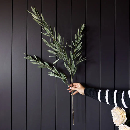 Olive Branch Stem