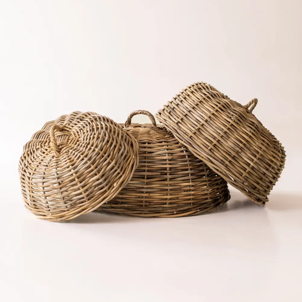 Rattan Food Cloche