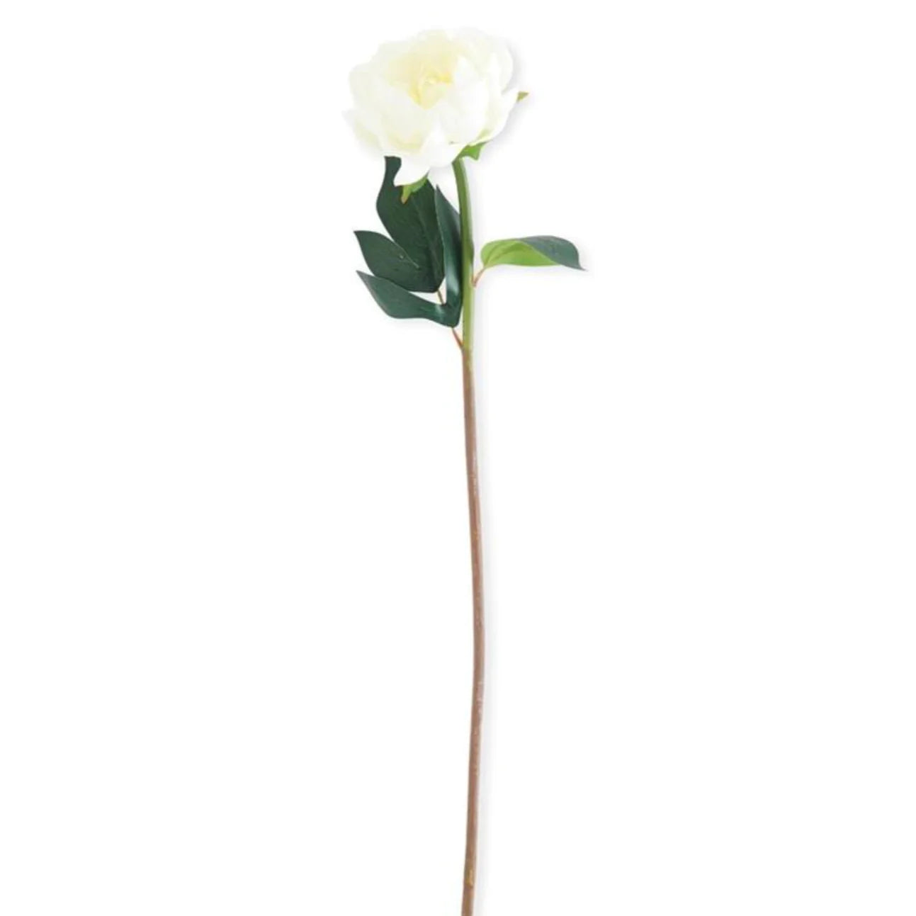 Real Touch White Peony Stem