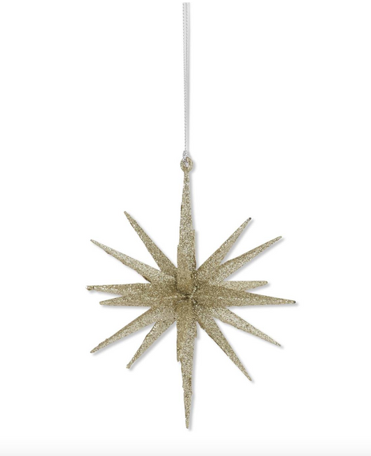 18 Point Star Ornament