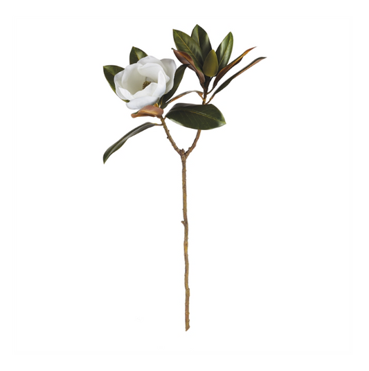 Magnolia Flower Stem