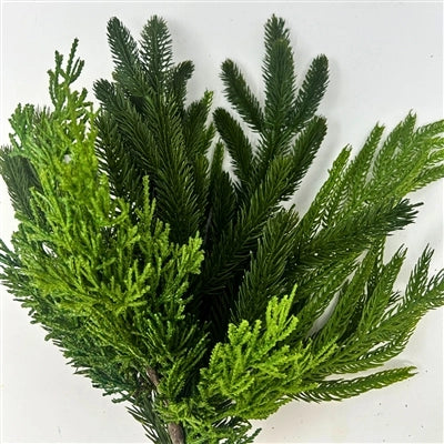 Real Touch Spruce/Norfolk/Cedar Bundle