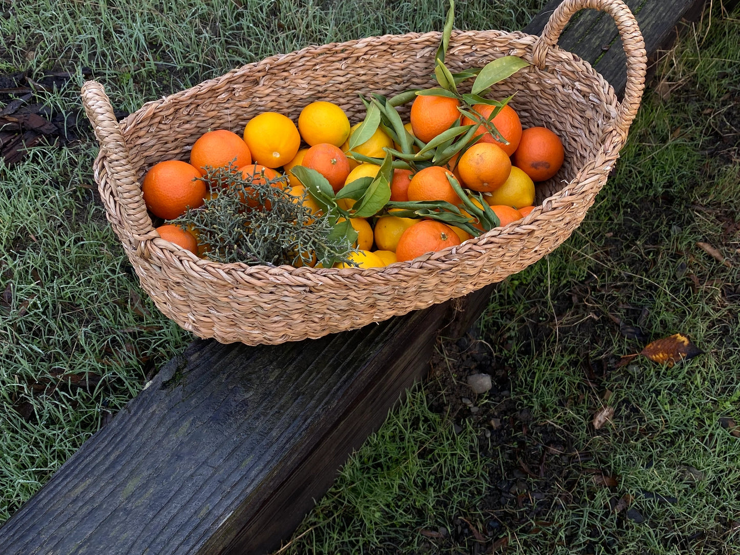 Oval Tray Basket