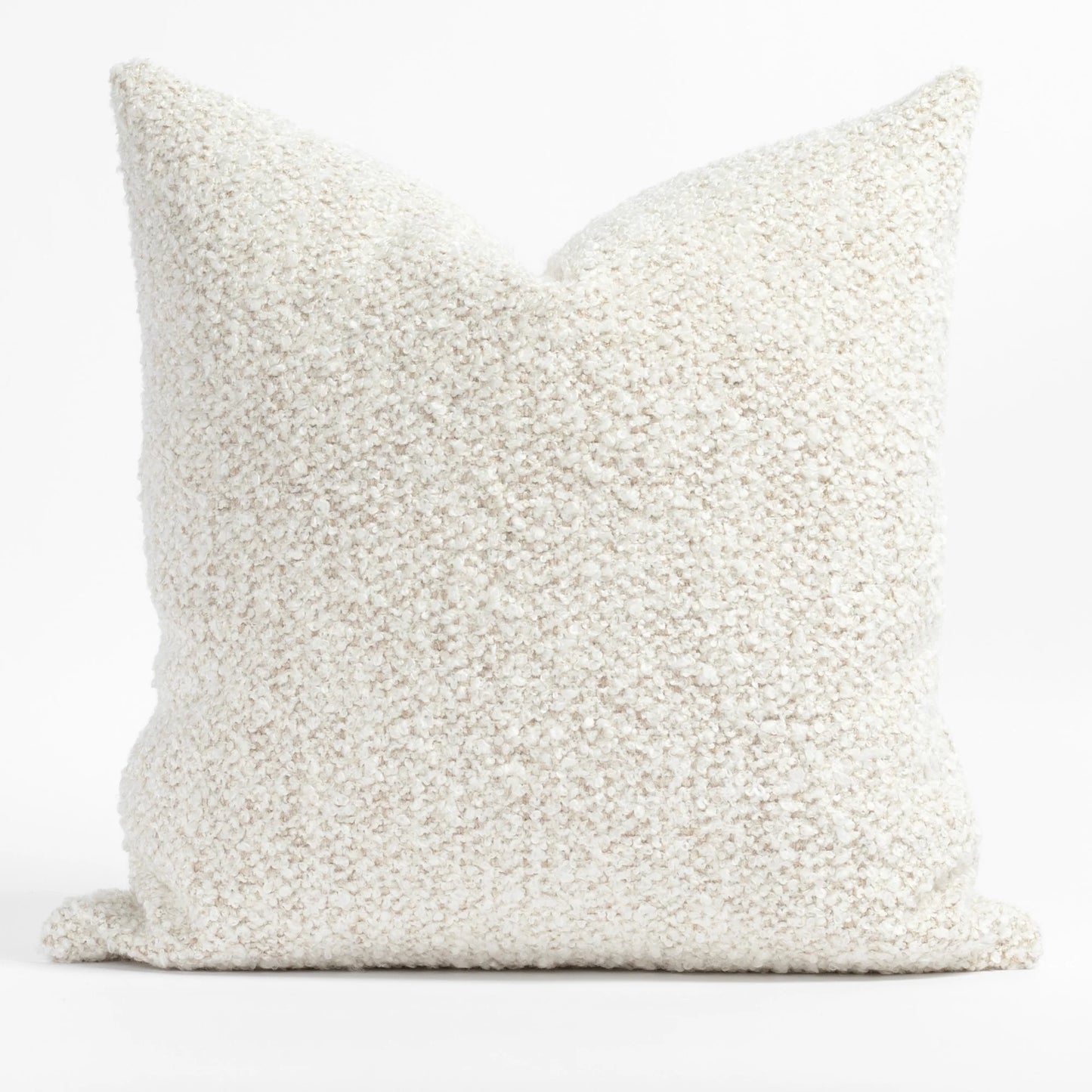 Sadie 22x22 Pillow