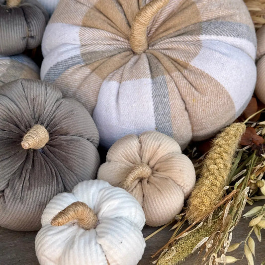 Corduroy Pumpkin Medium