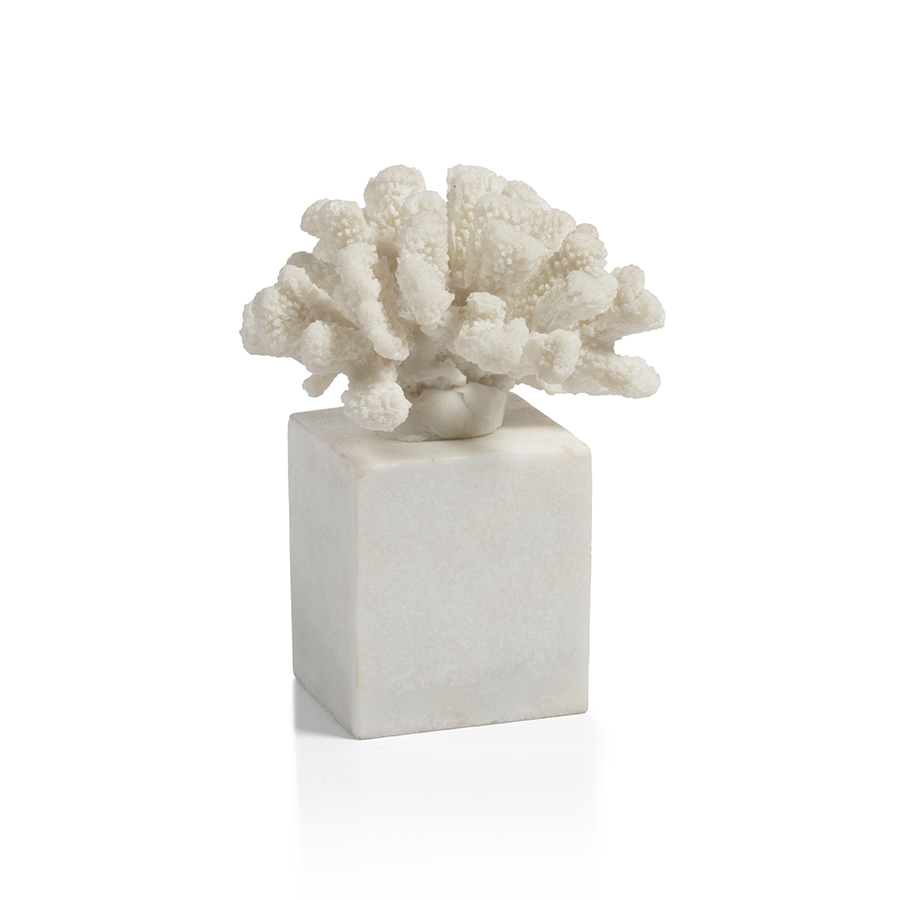 Coral on White Marble Base