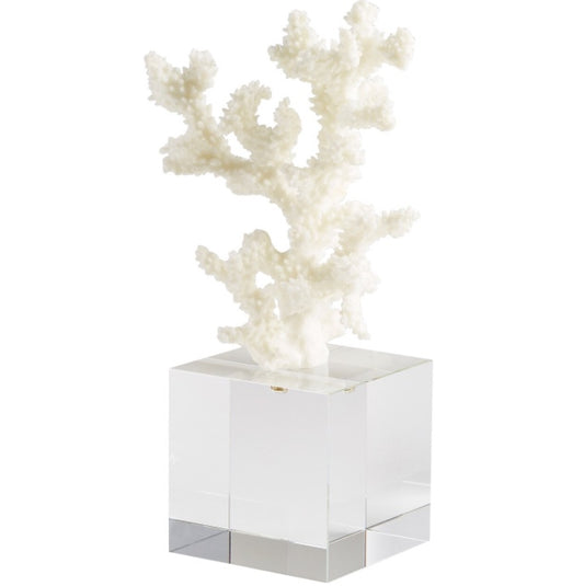 Acrylic + Coral Sculpture