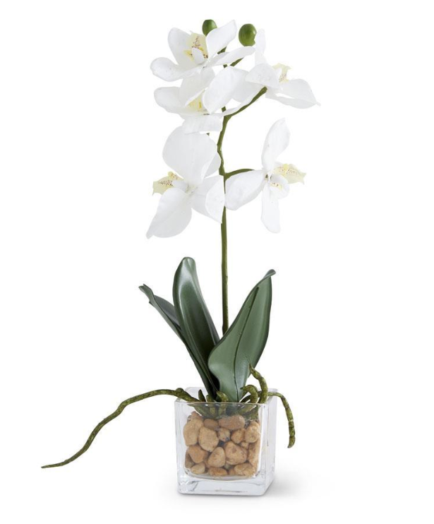 Orchid Mini