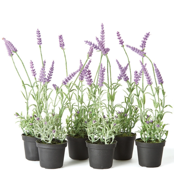 13" French Lavender Drop-In