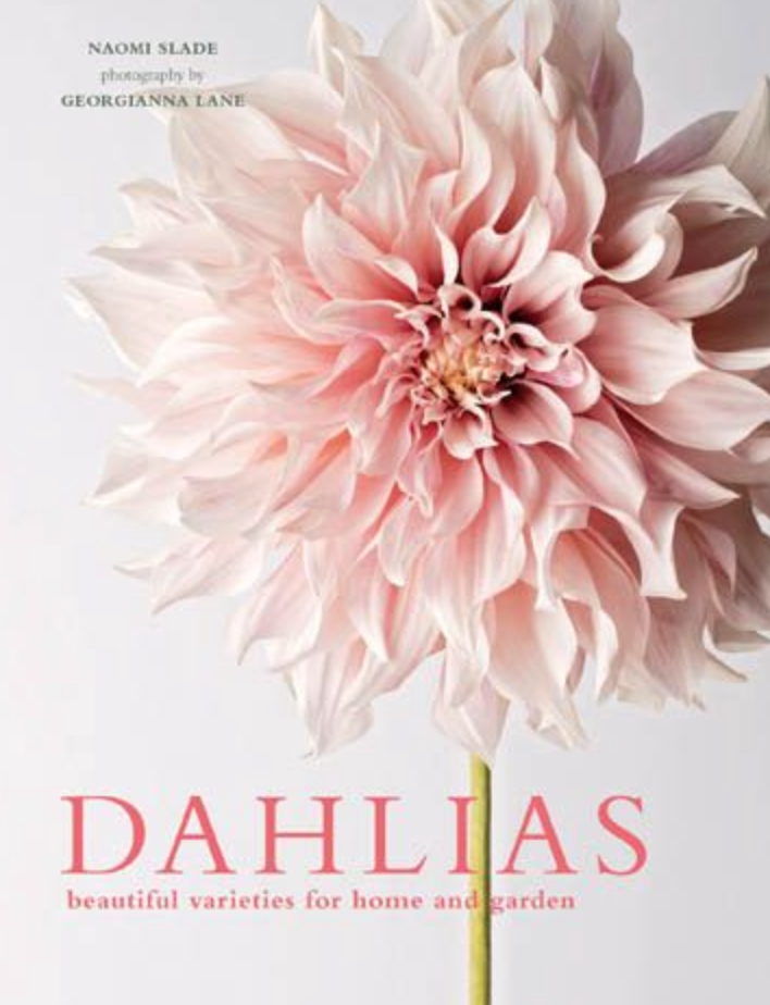 Dahlias - Coffee Table Book