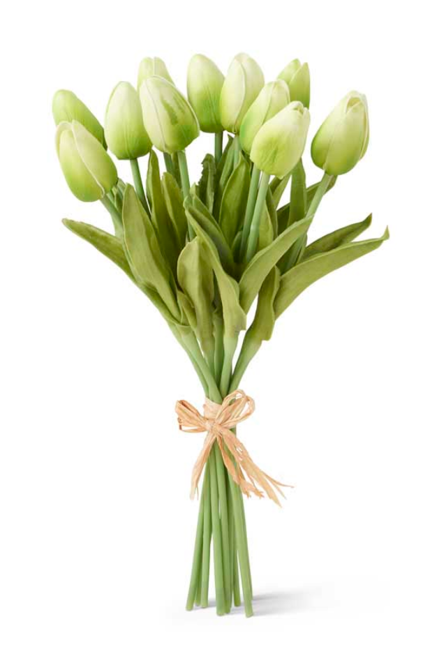 Green Real Touch Mini Tulip Bundle