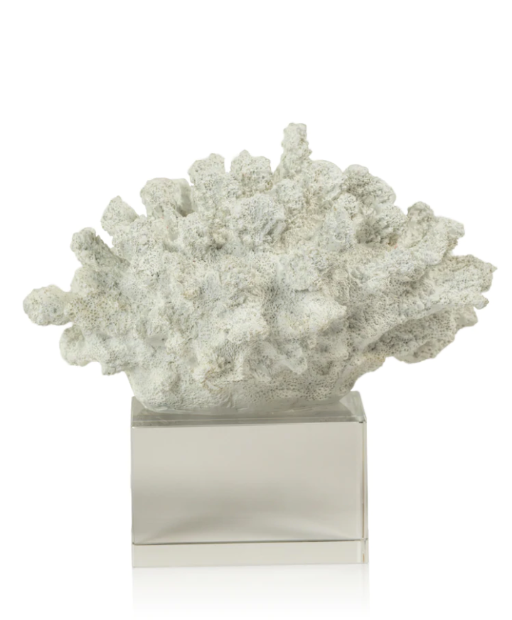 Short Coral on Acrylic Base