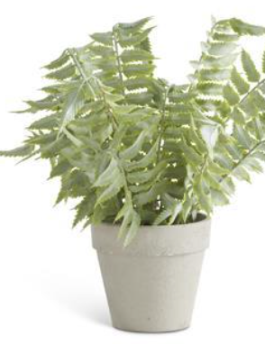 Real Touch Fern