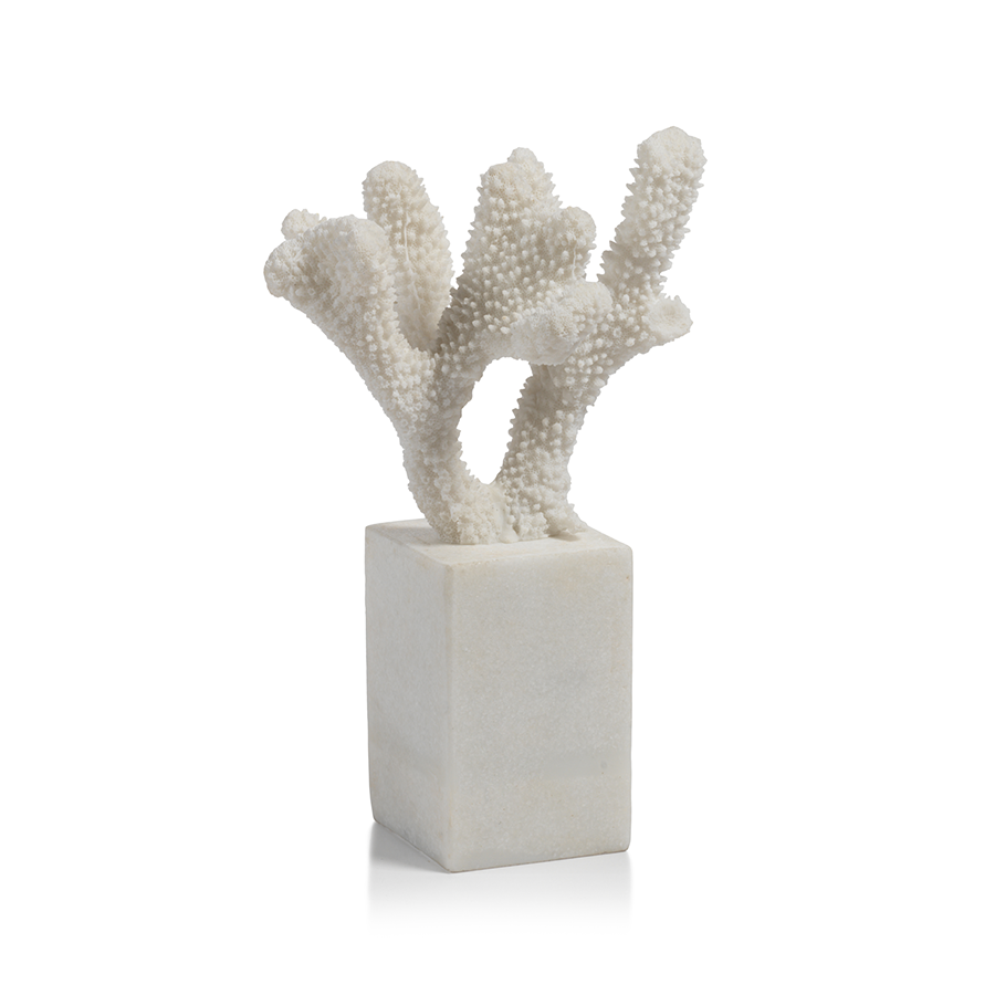 Large Coral on Marble Base